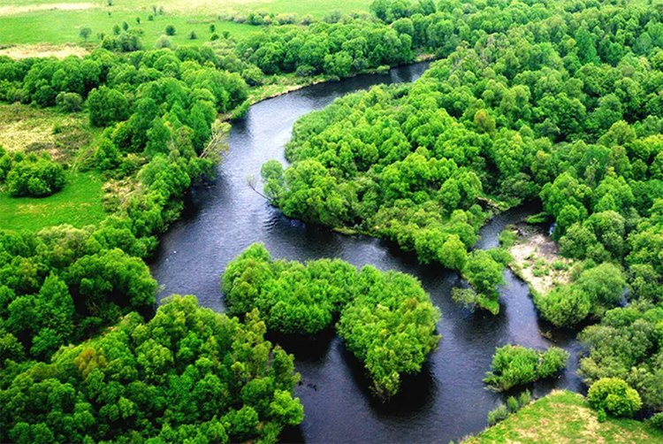 生態環境部發布4月下半月全國空氣質量預報會商結果