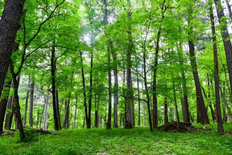 生態(tài)環(huán)境部黨組舉行理論學習中心組集體學習